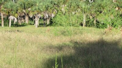 14 14th St, Haines City, FL 33844